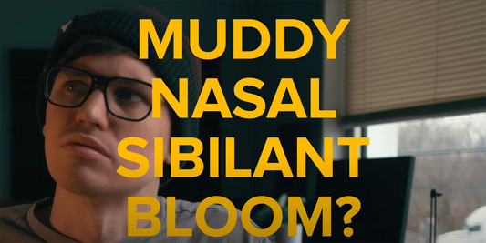 What is a NASAL headphone? Muddy? Sibilant?